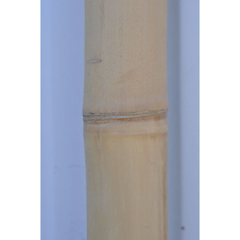 Tronçon de bambou naturel sec beige - D. 6xL200 cm