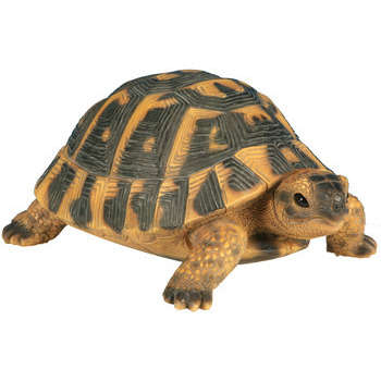 Tortue Hermann en résine - 17x11,7x7,7 cm