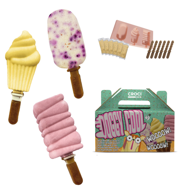Kit glace pour chien