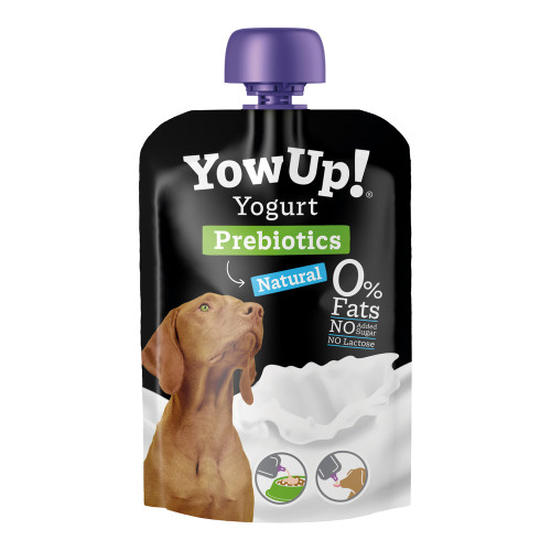 Yaourt pour chien riche en aliments prébiotiques -