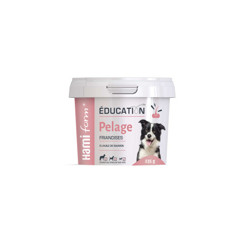 Friandises pour chien : Éducation Pelage, à l'huil