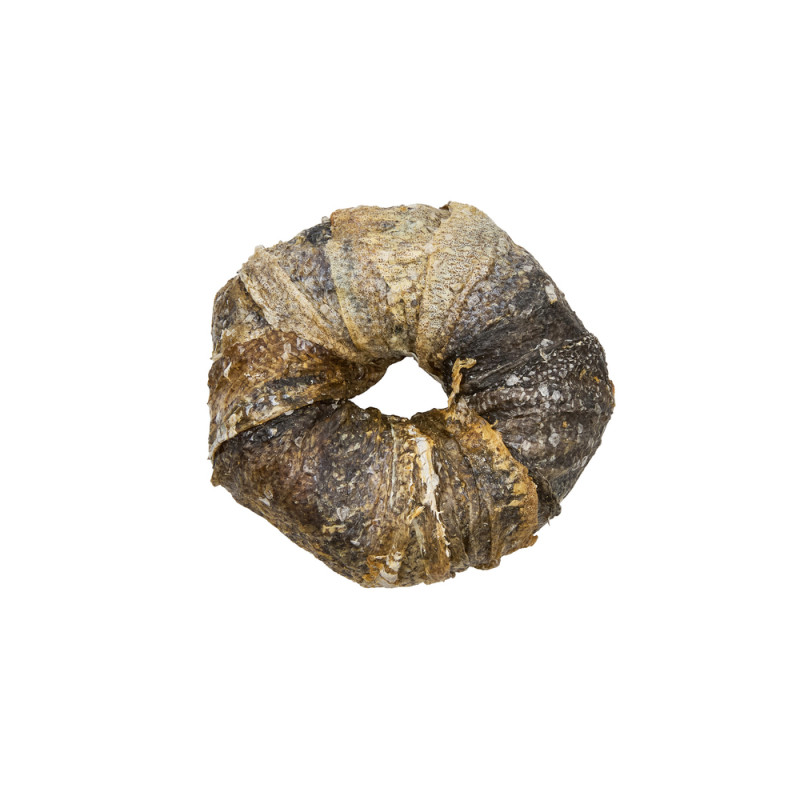 Friandise pour chien, donut avec peau de poisson,