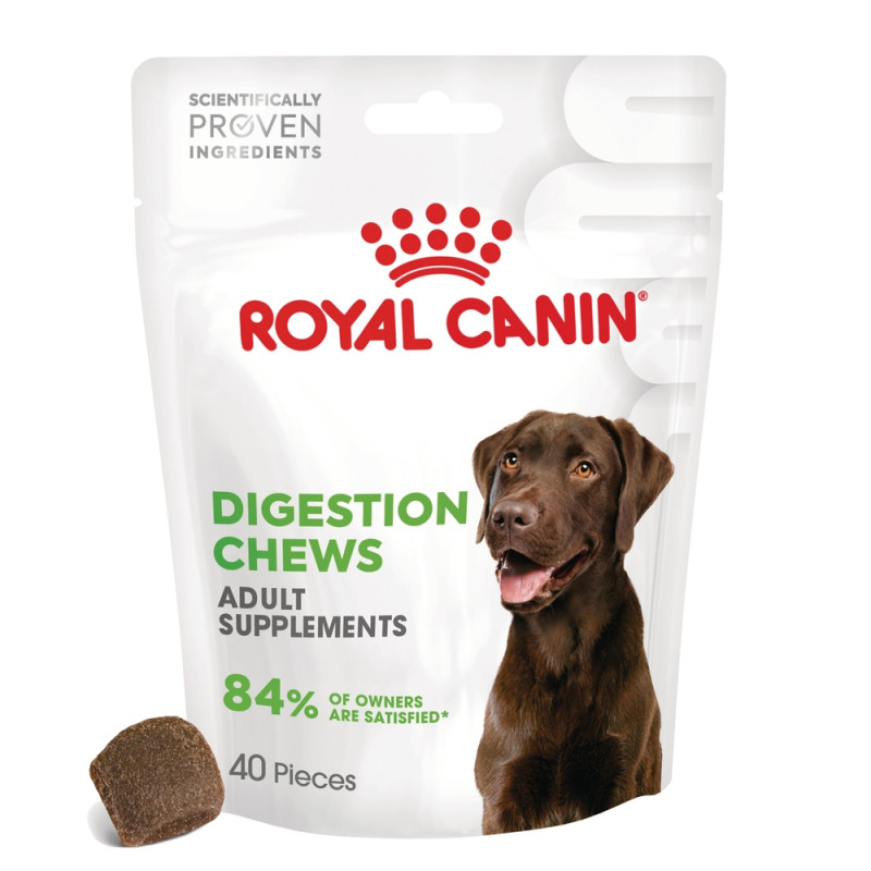 Adult Digestion, supplément alimentaire pour chien
