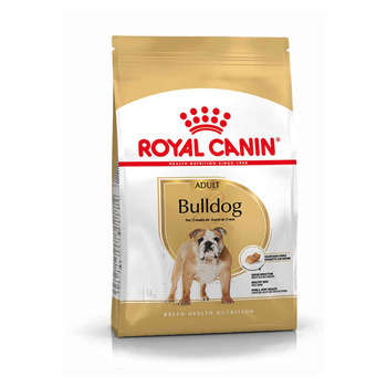 Croquettes chien Bulldog anglais Adulte plus de 12