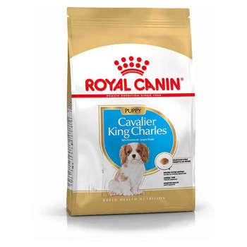 Croquettes chiot Cavalier King Charles de 2 à 10 m