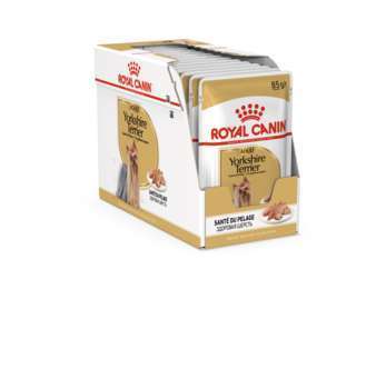 Sachet Royal Canin spécial yorkshire terrier en mo