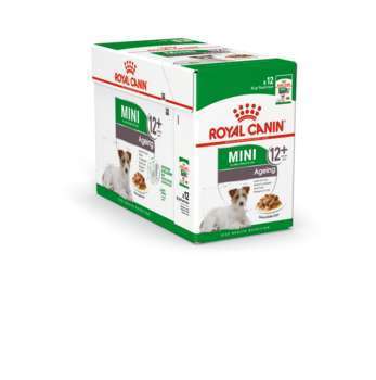 Sachet Mini Ageing en mousse pour chien 12 ans et