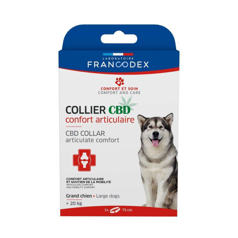 Collier au CBD pour le confort Articulaire des chi
