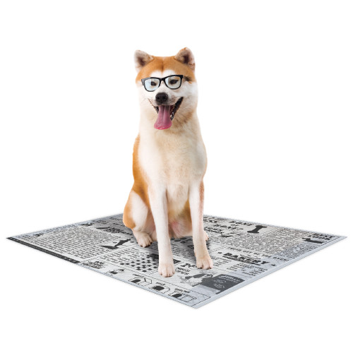 Tapis hygiéniques - Nappy newspaper pour chien - 5