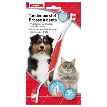 Brosse à dents : tous chiens