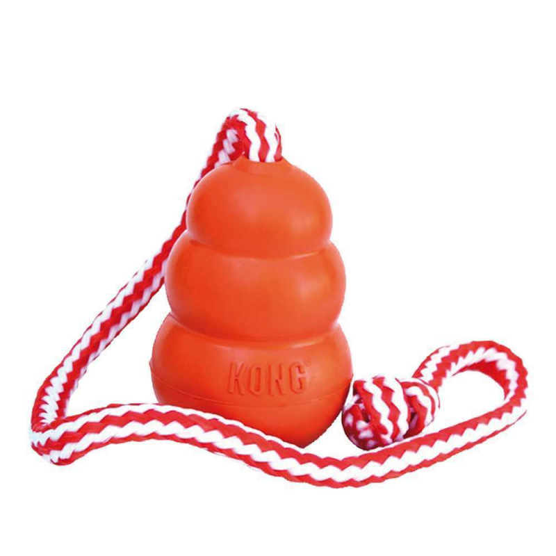 Jouet pour chien aqua M