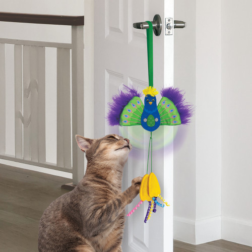 Jouet pour chat paon, connects peacock