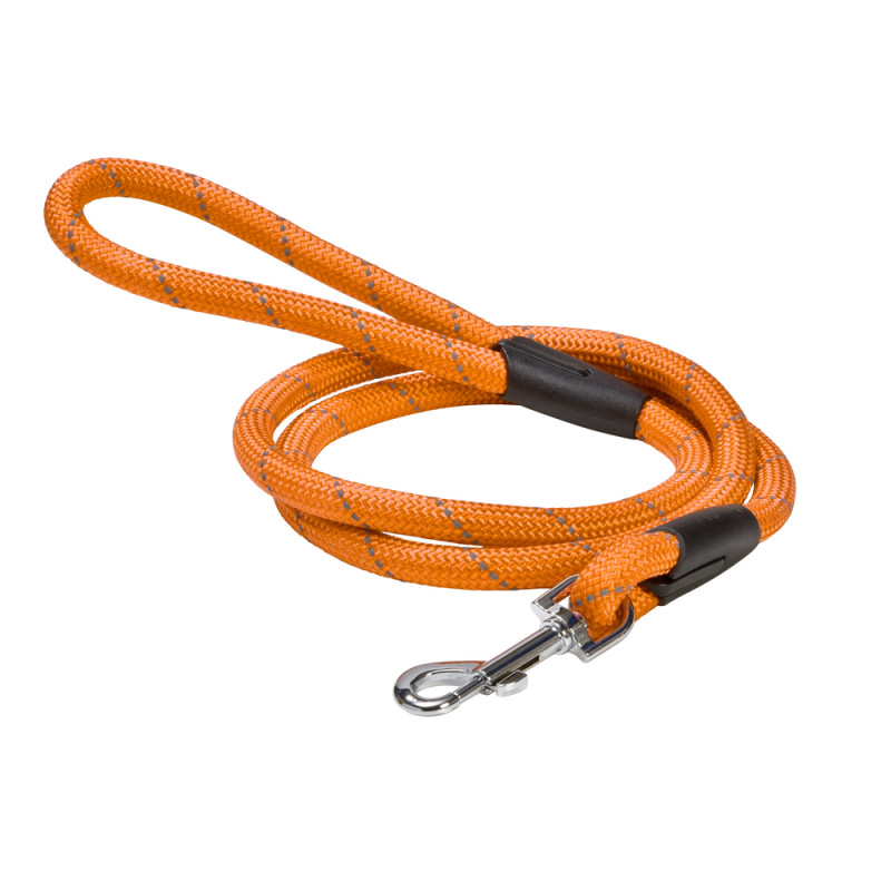 Laisse pour chien 'Walk', coloris orange - L. 124c