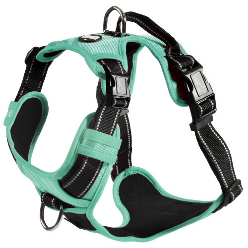 Harnais pour chien, Rando Walk, coloris lagon - ta