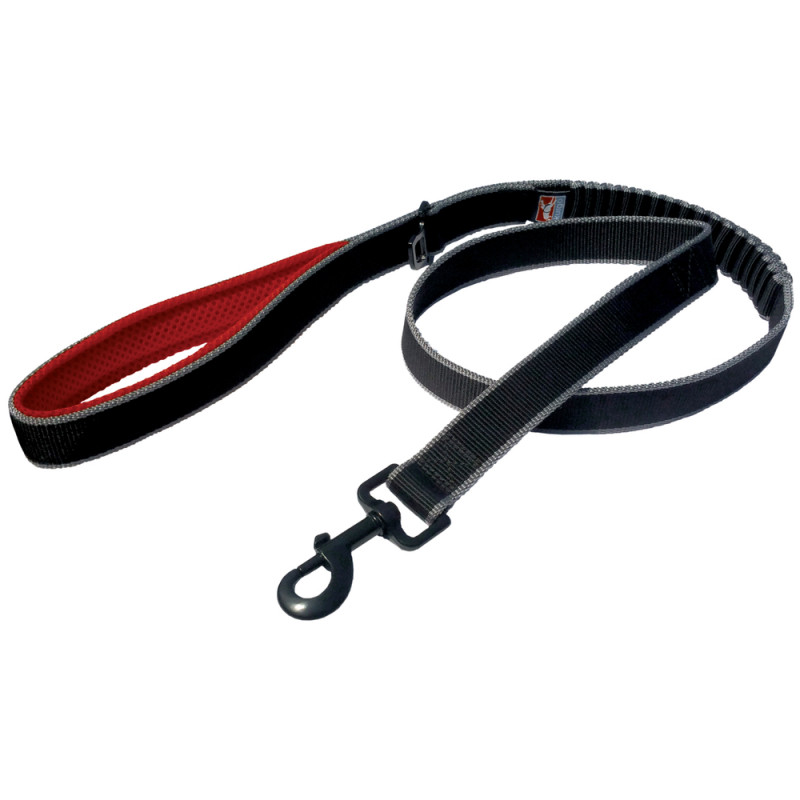 Laisse de traction pour chien, Springback