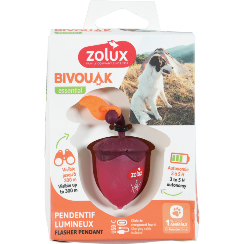 Pendentif pour chien, Flasher lumineux USB Bivouak