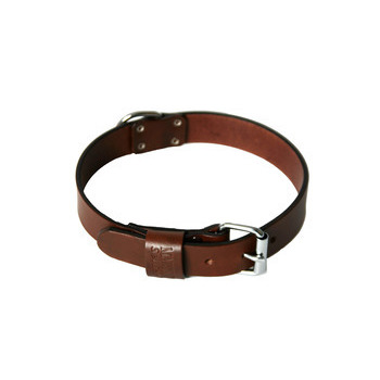 Collier pour chiens à bords ronds 25/50