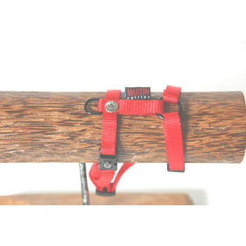 Harnais réglable pour chiens, en nylon, rouge 16/3