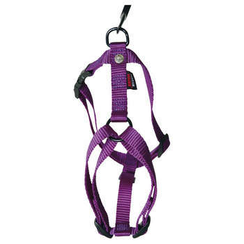 Harnais pour chiens en nylon réglable : Tour de co