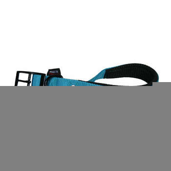 Collier chien : nylon, turquoise, 2,5x55cm