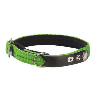 Collier nylon chat Lost vert :Longueur 30 cm