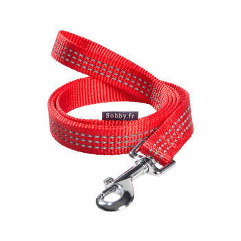 Laisse Safe pour chien : rouge 10