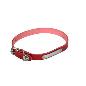 Collier pour chiens rive : rouge 12/35