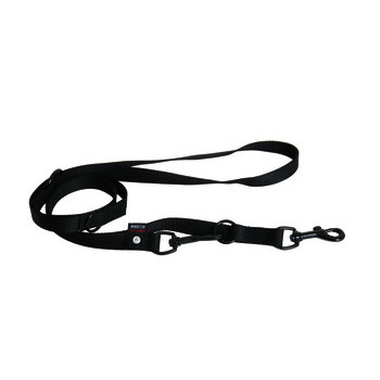 Laisse nylon 20/200 : 3 positions noir