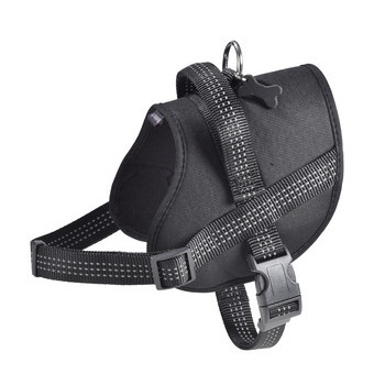 Harnais Easy de la collection Safe, couleur noir e