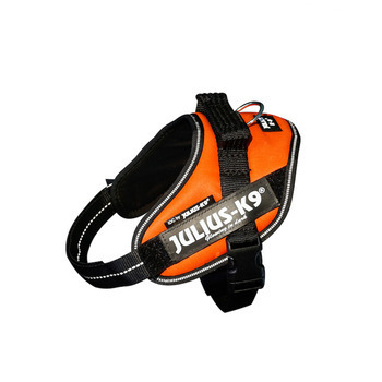Harnais lumino orange fluo T. mini