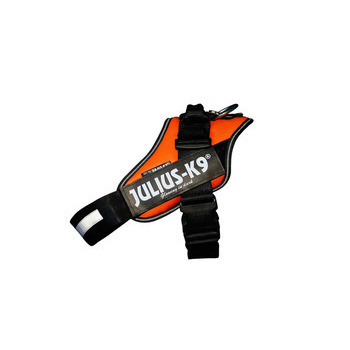 Harnais lumino orange fluo T. 1