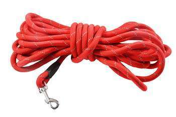 Longe pour chien 3M Walk Rouge