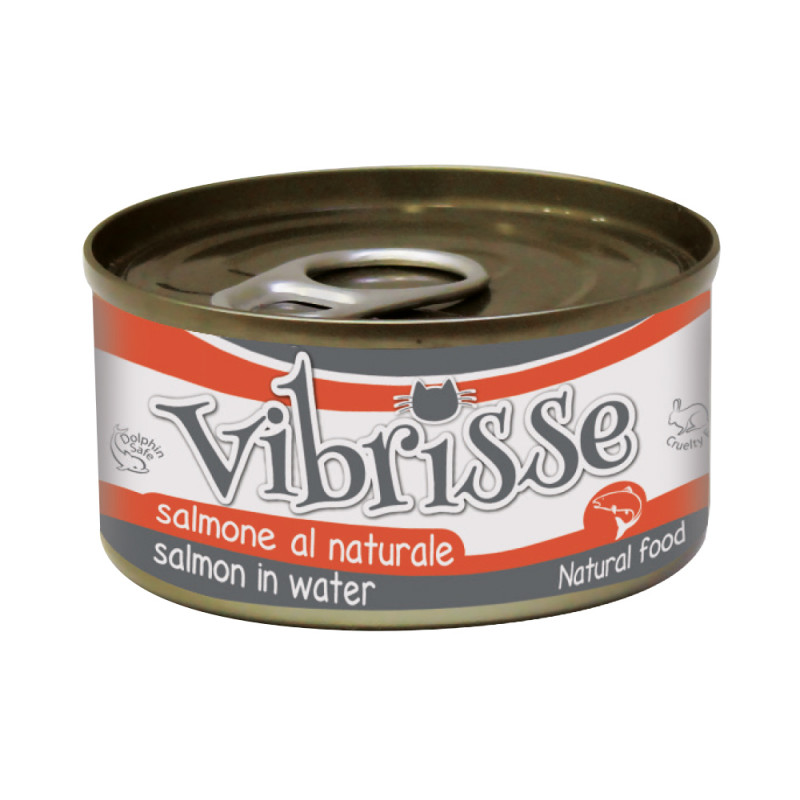 Pâtée pour chat au saumon 70g