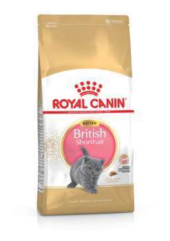 Croquettes chaton British ShortHair Kitten jusquà