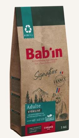 Chat Adulte - Canard <BR>
