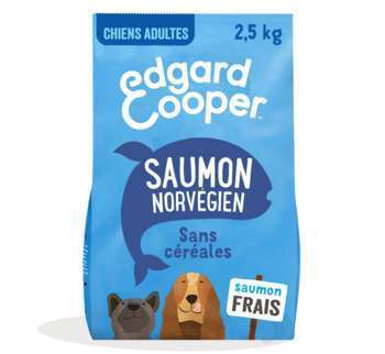 Croquettes chien adulte sans céréales au saumon -