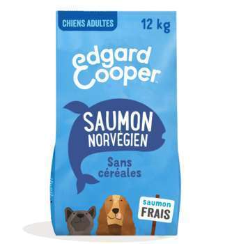 Croquettes chien adulte sans céréales au saumon fr