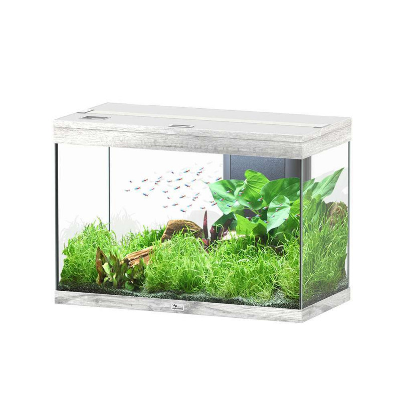 Aquarium Splendid équipé Led Chêne Blanc