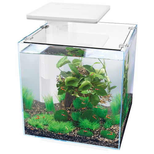 Aquarium Qubiq 30 litres Pro blanc L. 32. 0 P. 32.