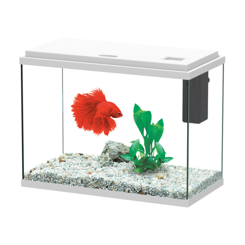 Aquarium ALOE LED équipé blanc 24 litres - L. 40,4