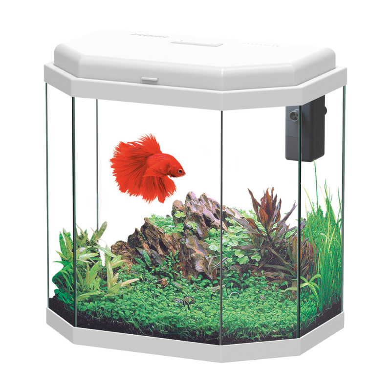 Aquarium AURIA LED équipé blanc 42 litres - L. 40,