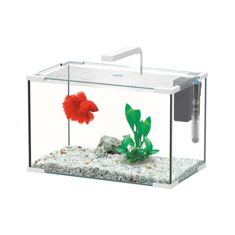 Aquarium JOYA LED équipé blanc 23 litres - L. 40,5