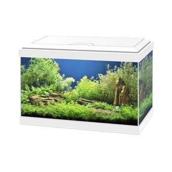 Aquarium équipé Aqua 20 Light blanc - 17 litres