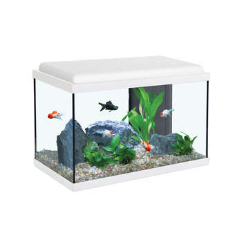 Aquarium Aqua Sarawak - 40L