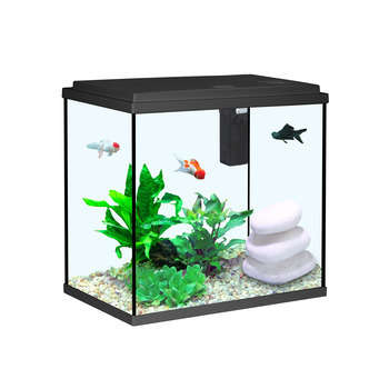 Aquarium Aqua Sarawak, noir - 25 litres