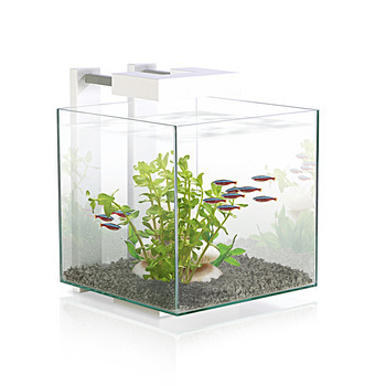 Aquarium Nano Nexus Pure Cube - 15L