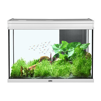 Aquarium Elégance Expert - 180L