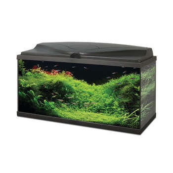 Aquarium Ciano, noir - 78 litres