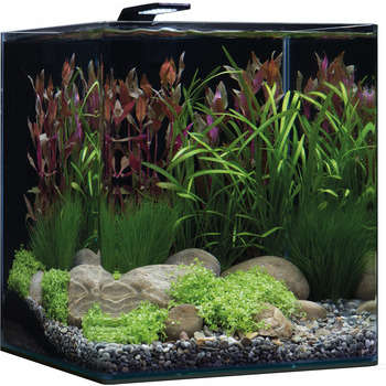 Aquarium Nano Cube Basic - 60L