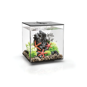 Aquarium biOrb Cube MCR 30 litres : noir